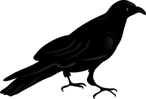 Korp